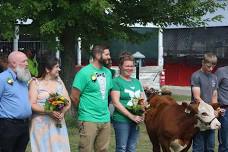 Vows with the Cows