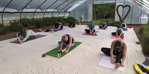 Greenhouse Yoga