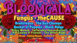 theCAUSE at Bloomgala Jamband Festival