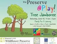 2024 Preserve @ Play: Tree Jamboree — Aark Wildlife Rehabilitation and Education Center