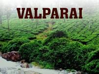 Isha + Valparai