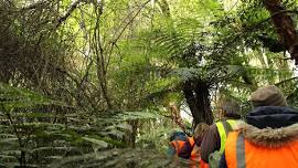 The Catlins: Half-Day Small-Group Nature Tour and Hands-On Conservation Project with Picnic Lunch