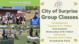 Weekday Canine Group Classes Surprise, AZ