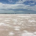 State Park Tours: Great Salt Plains State Park and Salt Plains Wildlife Refuge