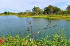 Estuary Expedition: Walk, Talk, and Explore