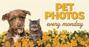 Pet Photos with the Easter Bunny!