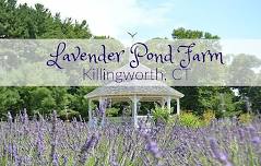 Lavender Pond Farm minis