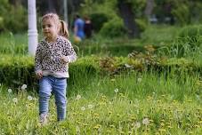 Wildflower Walk at Botanic Garden