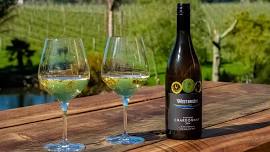 Auckland: Half-Day Kumeu Wine Country Tour with Lunch, Wine Tastings & Roundtrip Transfers