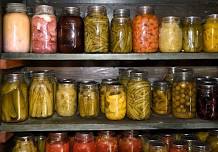 Introduction to Canning