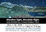 Meadow Sighs, Mountain Highs: Cheryl Bailey OSA