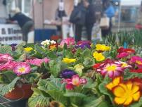 Otley Farmers Market