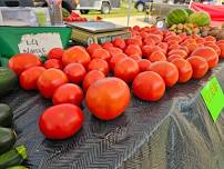 Rome Farmers Market — Visit Adams County, WI