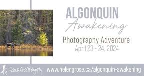 Algonquin Awakening Photography Adventure