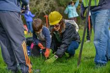 Super Volunteers Advanced Training: Tree Care at Rosedale School