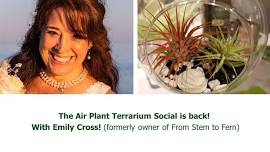 Air Plant Terrarium Social