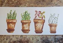 Beginner Watercolor Class: Potted Plants