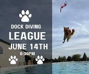 Dock Diving League