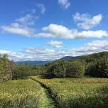 Guided Hikes: Three Hills in Williamstown