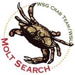 Skagit Molt Search Training