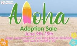 Aloha Adoption Event