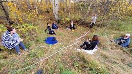 Forest Bathing at Kiwi Nurseries